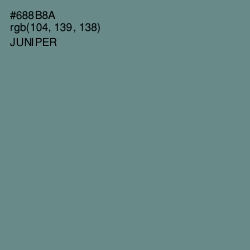 #688B8A - Juniper Color Image