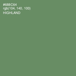 #688C64 - Highland Color Image