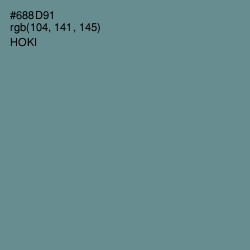 #688D91 - Hoki Color Image