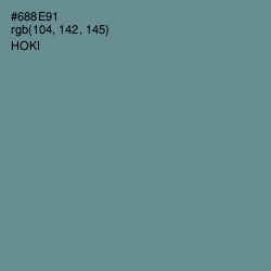 #688E91 - Hoki Color Image