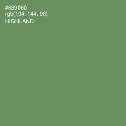 #689060 - Highland Color Image