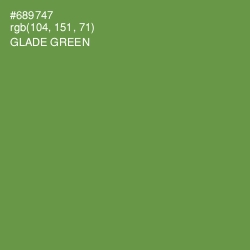 #689747 - Glade Green Color Image