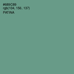 #689C89 - Patina Color Image