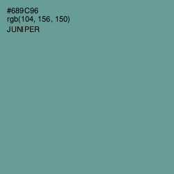 #689C96 - Juniper Color Image