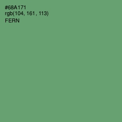 #68A171 - Fern Color Image