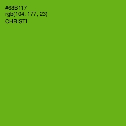 #68B117 - Christi Color Image