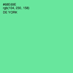 #68E69E - De York Color Image