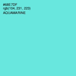 #68E7DF - Aquamarine Color Image