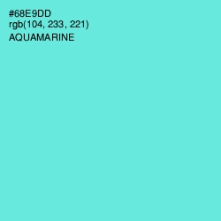 #68E9DD - Aquamarine Color Image