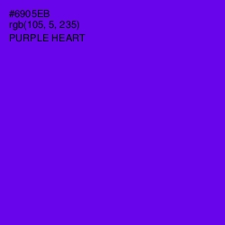 #6905EB - Purple Heart Color Image