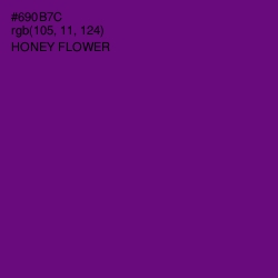 #690B7C - Honey Flower Color Image