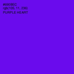 #690BEC - Purple Heart Color Image