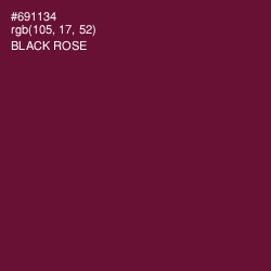 #691134 - Black Rose Color Image