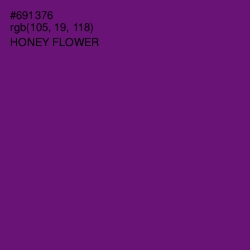 #691376 - Honey Flower Color Image