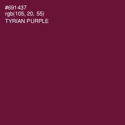 #691437 - Tyrian Purple Color Image