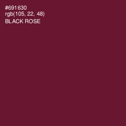 #691630 - Black Rose Color Image