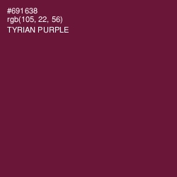 #691638 - Tyrian Purple Color Image