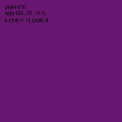 #691670 - Honey Flower Color Image