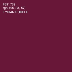 #691739 - Tyrian Purple Color Image