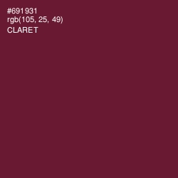 #691931 - Claret Color Image