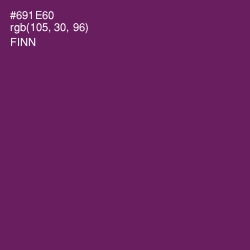 #691E60 - Finn Color Image