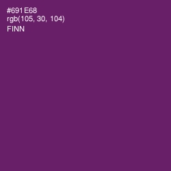 #691E68 - Finn Color Image