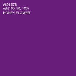 #691E7B - Honey Flower Color Image