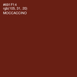 #691F14 - Moccaccino Color Image