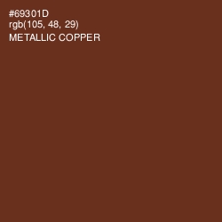 #69301D - Metallic Copper Color Image