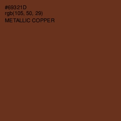 #69321D - Metallic Copper Color Image