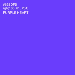 #693DFB - Purple Heart Color Image
