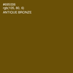 #695006 - Antique Bronze Color Image