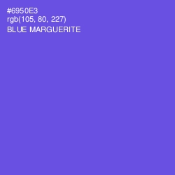 #6950E3 - Blue Marguerite Color Image