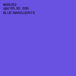 #6952E2 - Blue Marguerite Color Image