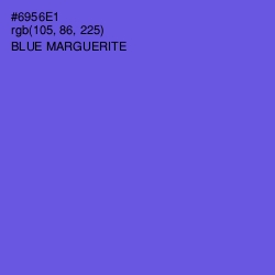 #6956E1 - Blue Marguerite Color Image