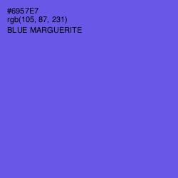 #6957E7 - Blue Marguerite Color Image