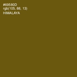 #69580D - Himalaya Color Image