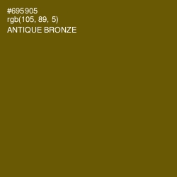 #695905 - Antique Bronze Color Image