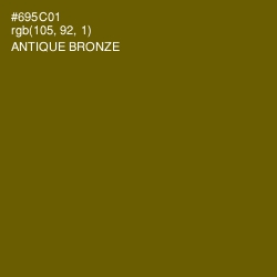 #695C01 - Antique Bronze Color Image