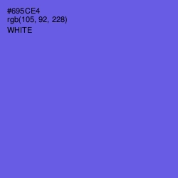 #695CE4 - Blue Marguerite Color Image