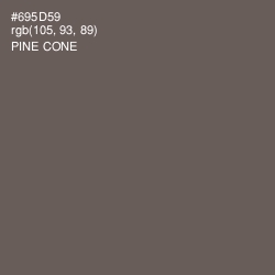 #695D59 - Pine Cone Color Image