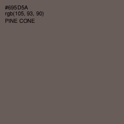 #695D5A - Pine Cone Color Image