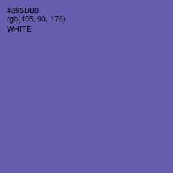 #695DB0 - Blue Violet Color Image