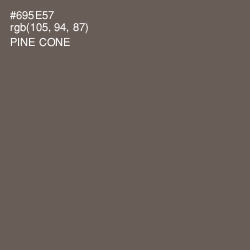 #695E57 - Pine Cone Color Image