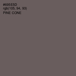 #695E5D - Pine Cone Color Image