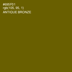 #695F01 - Antique Bronze Color Image