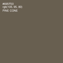 #695F50 - Pine Cone Color Image