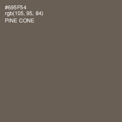 #695F54 - Pine Cone Color Image