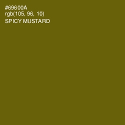 #69600A - Spicy Mustard Color Image