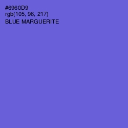 #6960D9 - Blue Marguerite Color Image